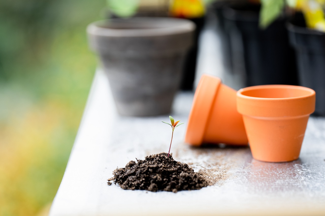 Miniature gardening involves creating scaled-down landscapes that include everything from tiny trees and shrubs to small-scale replicas of garden furniture and decorations.